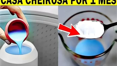 Casa Cheirosa com Poucos Ingredientes