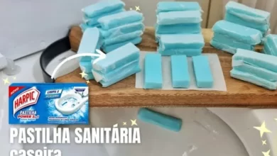 Pastilhas Sanitárias