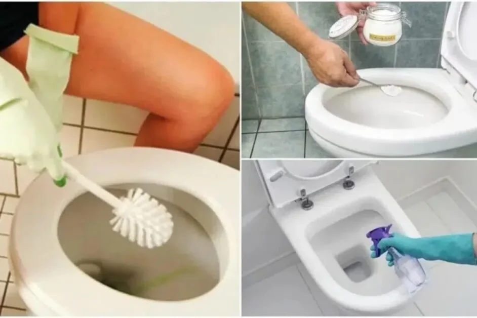 Conheça o Ingrediente que Elimina a Sujeira no Seu Vaso Sanitário