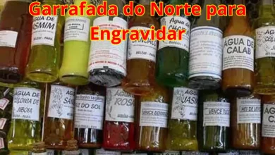 Garrafada do Norte para Engravidar uma Antiga Receita de Fertilidade