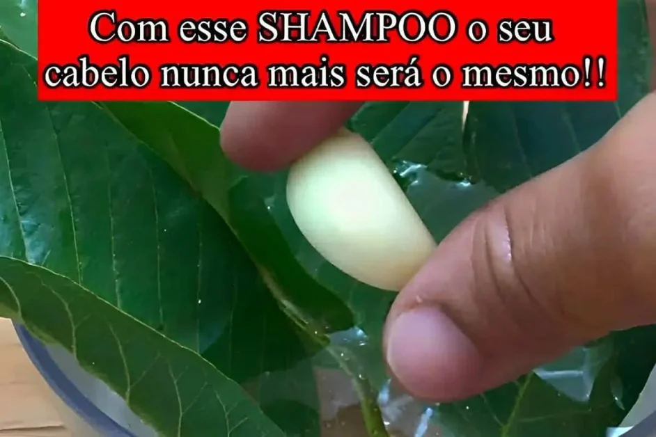 Shampoo caseiro para fortalecer os fios e fazer o cabelo crescer muito mais rápido