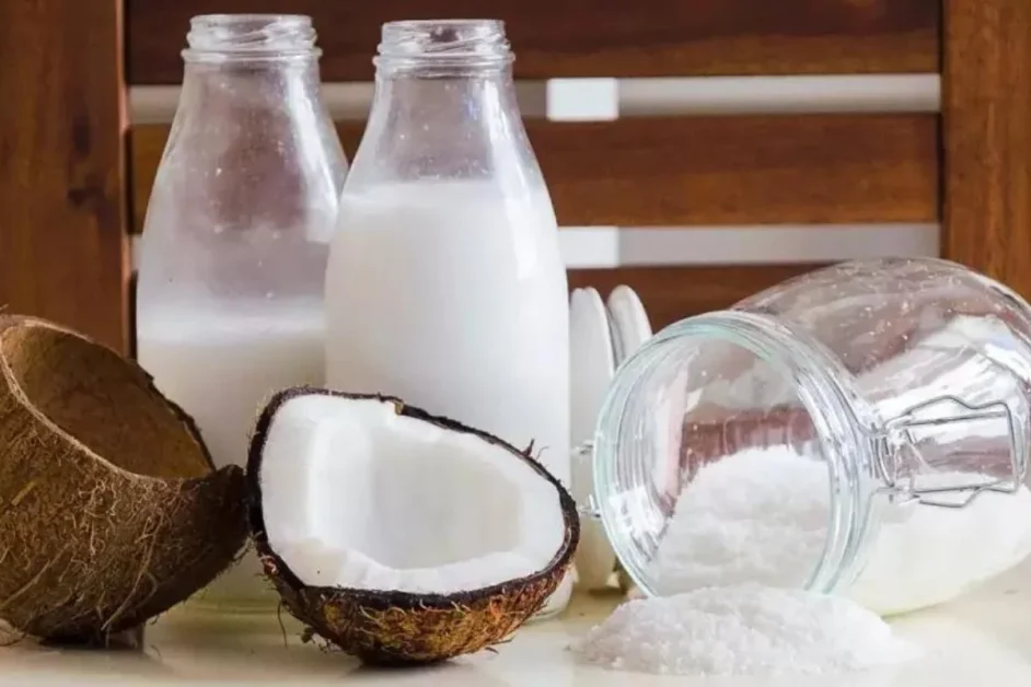 Aprenda a fazer leite de coco caseiro e farinha de coco 100% natural com apenas 2 ingredientes! Econômico e saudável!