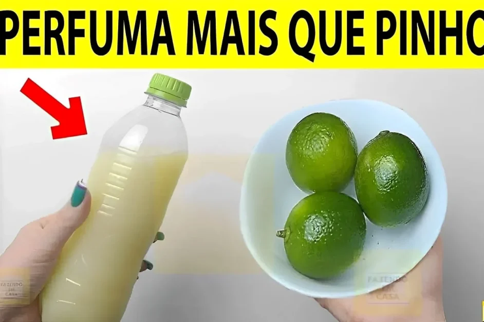 Desinfetante caseiro de limão que elimina o cheiro de urina de cães e gatos da sua casa