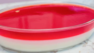 Sobremesa cremosa refrescante e deliciosa tão fácil que é impossível errar
