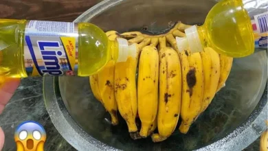 Aprenda a fazer um detergente caseiro com casca de banana que promete facilitar sua vida na cozinha