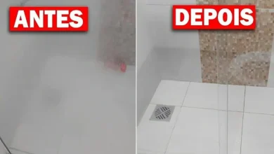 Aprenda como limpar os vidros do box e deixar o banheiro brilhando para os convidados de natal