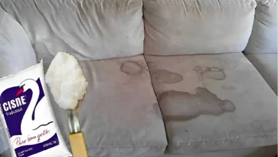 Aprenda uma misturinha caseira para recuperar sofás com manchas para receber seus convidados no Natal
