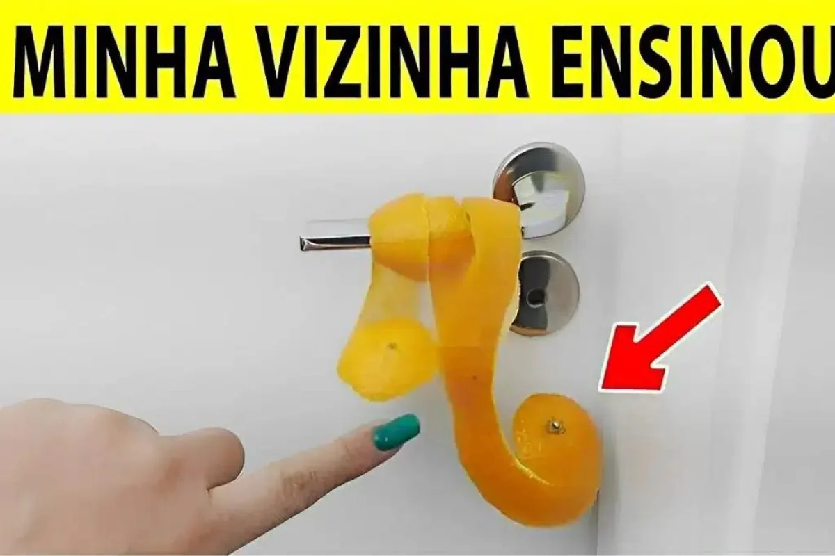 Coloquei casca de laranja atrás da porta e o resultado me surpreendeu
