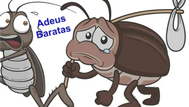 Como acabar com as baratas na sua casa para não ter aborrecimentos nas festas de fim de ano