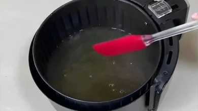 Como limpar airfryer corretamente para ela não te deixar na mão no almoço de natal