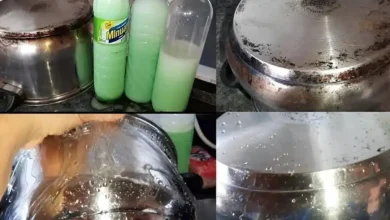 Indispensável para antes e depois da ceia de natal é essa dica de como limpar panelas de inox