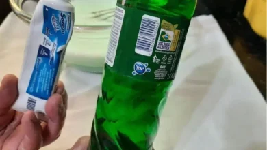 Mistura para limpeza geral e facilitar sua vida para receber os convidados de natal na sua casa