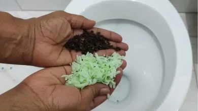 Sensacional dica para deixar banheiro cheiroso a semana toda