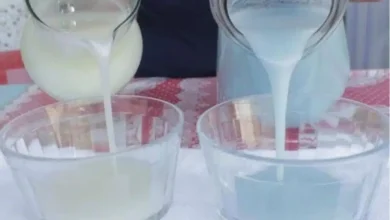 Use esse detergente caseiro sensacional para lavar suas louças do almoço de Natal