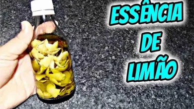 Essência caseira de limão para seus produtos de limpeza para ajudar sua casa ficar mais cheirosa