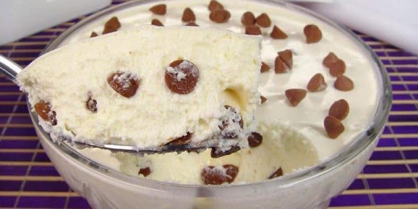 Mousse de Leite Ninho com Gotas de Chocolate